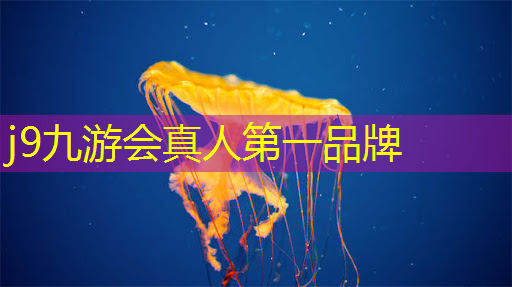j9九游真人游戏第一平台：抖音小游戏3d装修