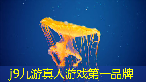 j9九游真人游戏第一平台：华容道小游戏入口小程序