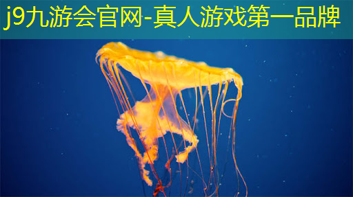 j9九游真人游戏第一平台：3d好看女生游戏推荐手游