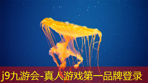 j9九游真人游戏第一平台：微信你演我猜小游戏小程序