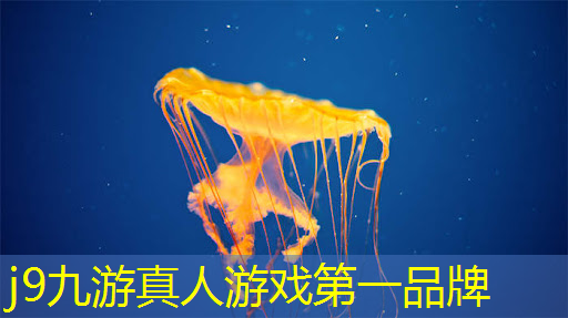 j9九游真人游戏第一平台：马路杀手3d合成游戏