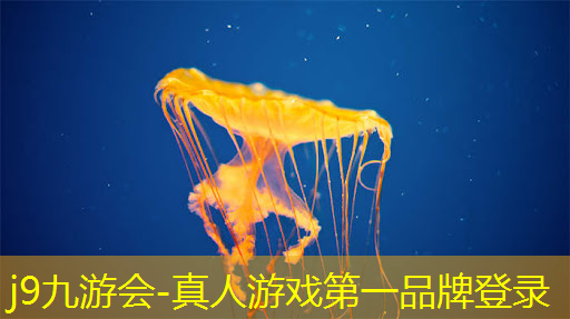 j9九游会真人第一品牌：什么样的条件才能当职业电竞选手