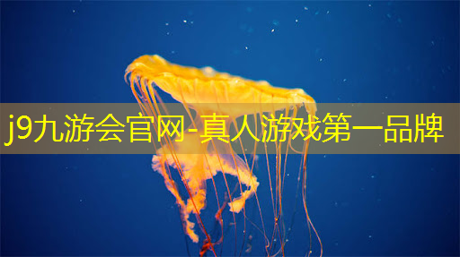 j9九游真人游戏第一平台：3d建造塔防类游戏推荐