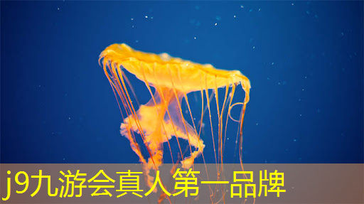 j9九游真人游戏第一品牌：游戏原画师具备的条件是什么