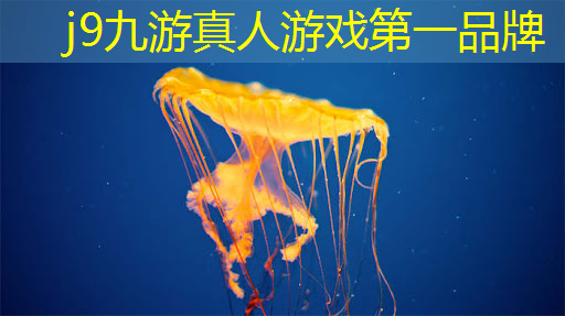 j9九游真人游戏第一平台：原画游戏简介内容