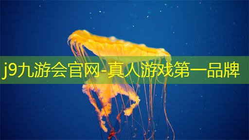 美杜莎社交程序是什么游戏