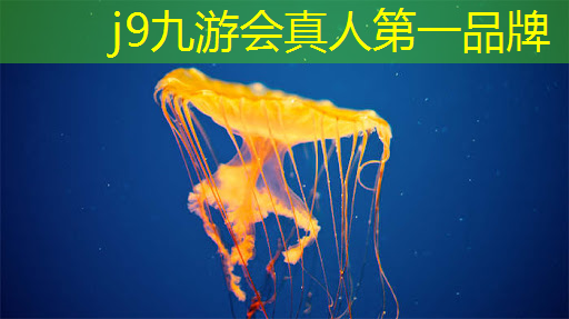 j9九游真人游戏第一品牌：报名游戏电竞职业选手的条件