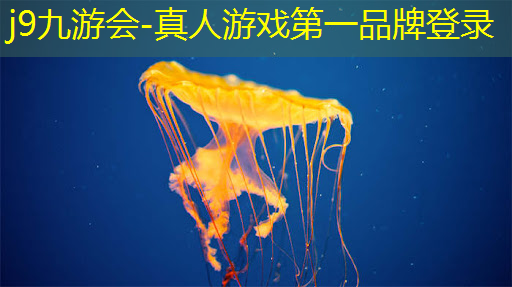 j9九游会真人第一品牌：3d画风格斗游戏大全