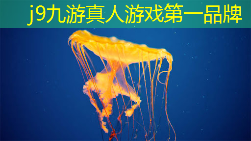 j9九游会-真人游戏第一品牌登录：想从事游戏ui设计选什么专业