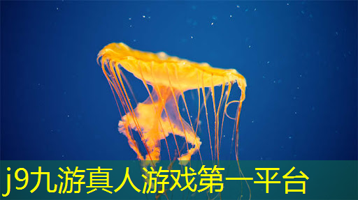 j9九游会真人第一品牌：游戏职业ui界面设计