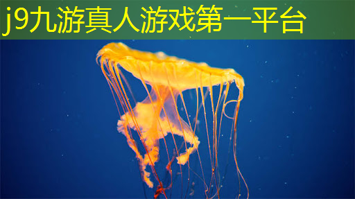 抖音小游戏3d装修