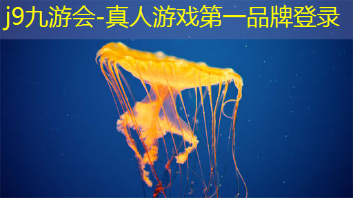 3d好看女生游戏推荐手游