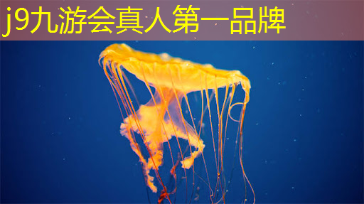 微信你演我猜小游戏小程序