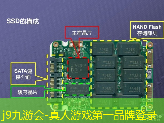 保皇游戏小程序抖音入口