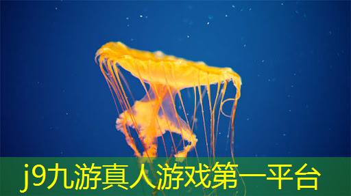 恐龙来了3d互动游戏攻略