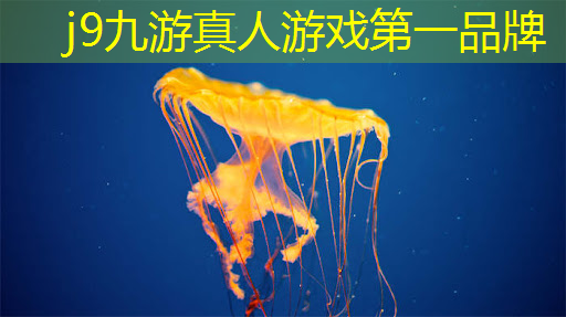 什么样的条件才能当职业电竞选手