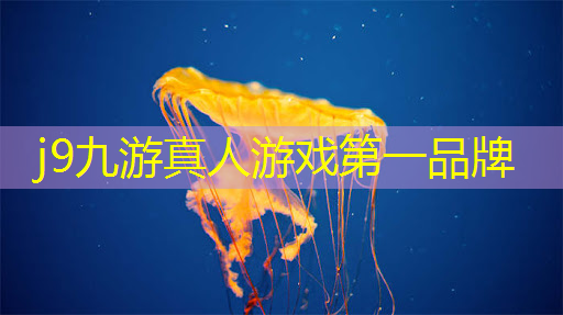3d建造塔防类游戏推荐
