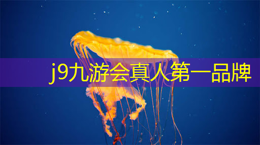 原画游戏简介内容