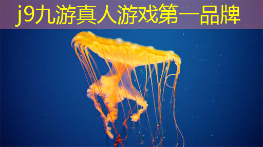 报名游戏电竞职业选手的条件