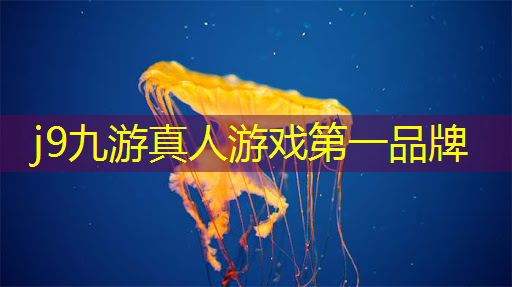 游戏职业ui界面设计